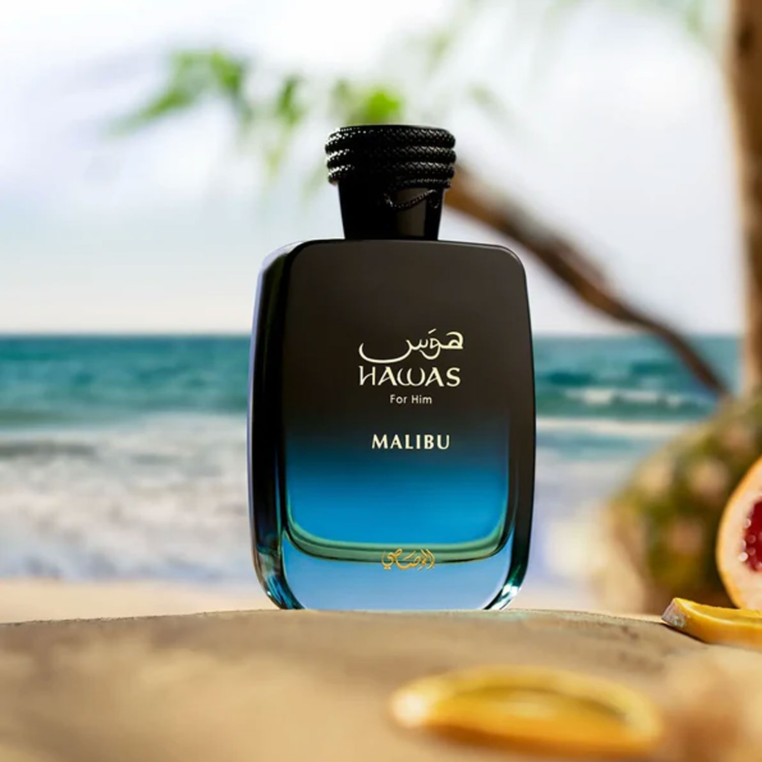 Sıcak Fırsat Malibu For Him Ea - Perfume Fragrance Sale incelemesi ve fiyatı